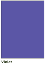 Load image into Gallery viewer, Vanguard Paper Weights